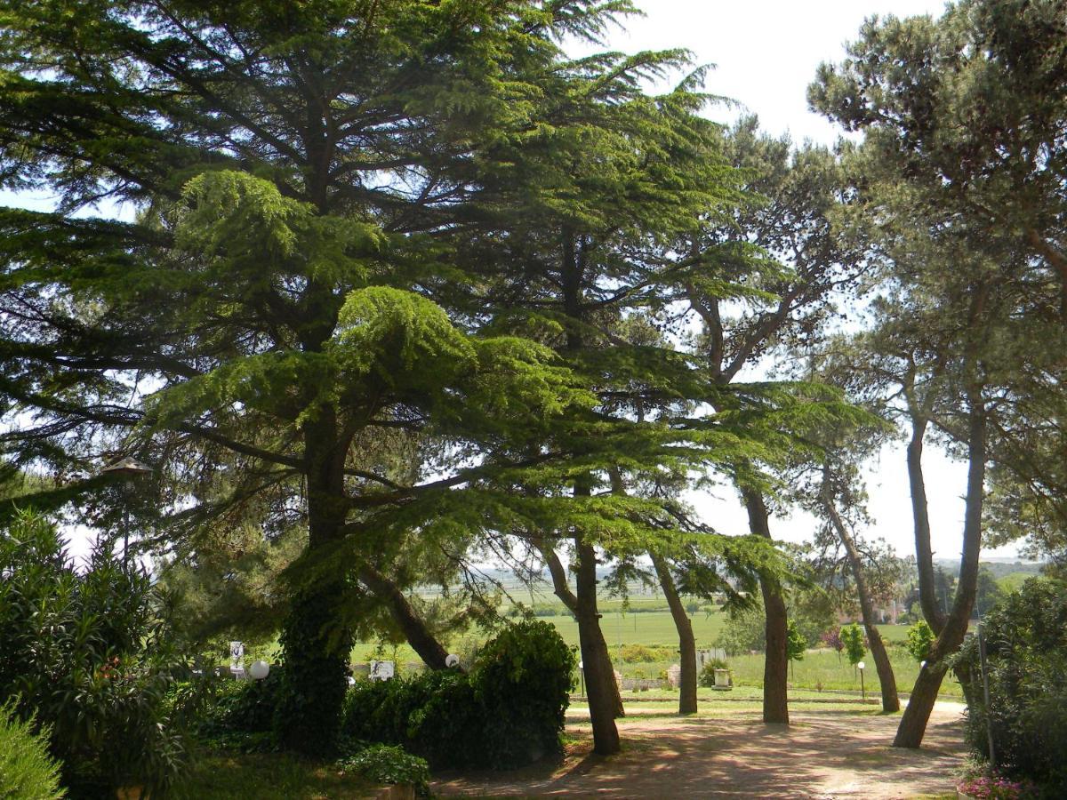 Dimora Del Falconiere B&B Gioia Del Colle Esterno foto